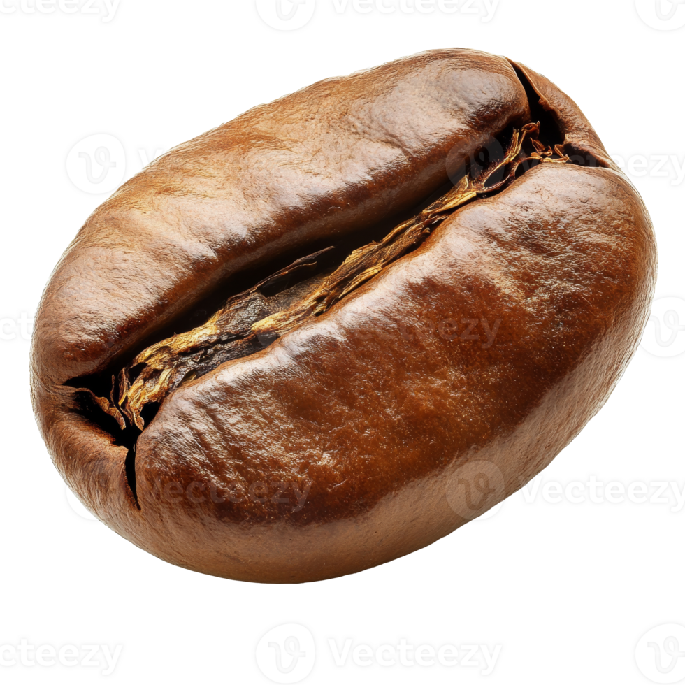 Fresh roasted coffee bean with rich brown color png