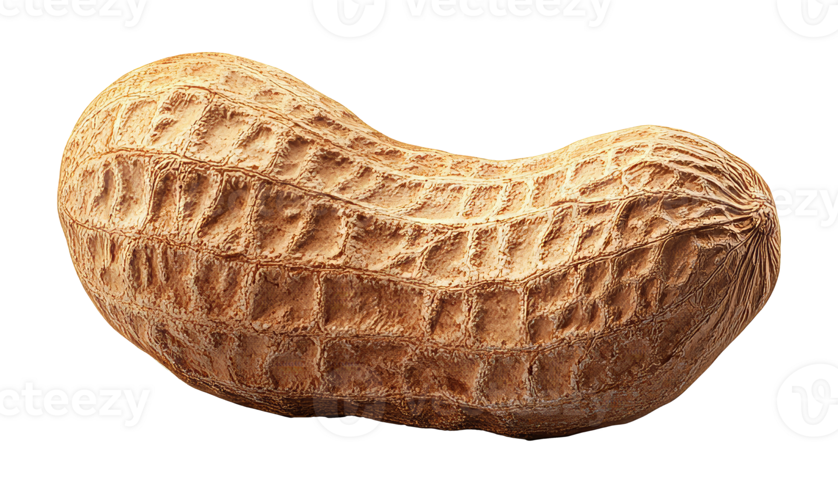 A close view of a raw peanut resting on a surface png