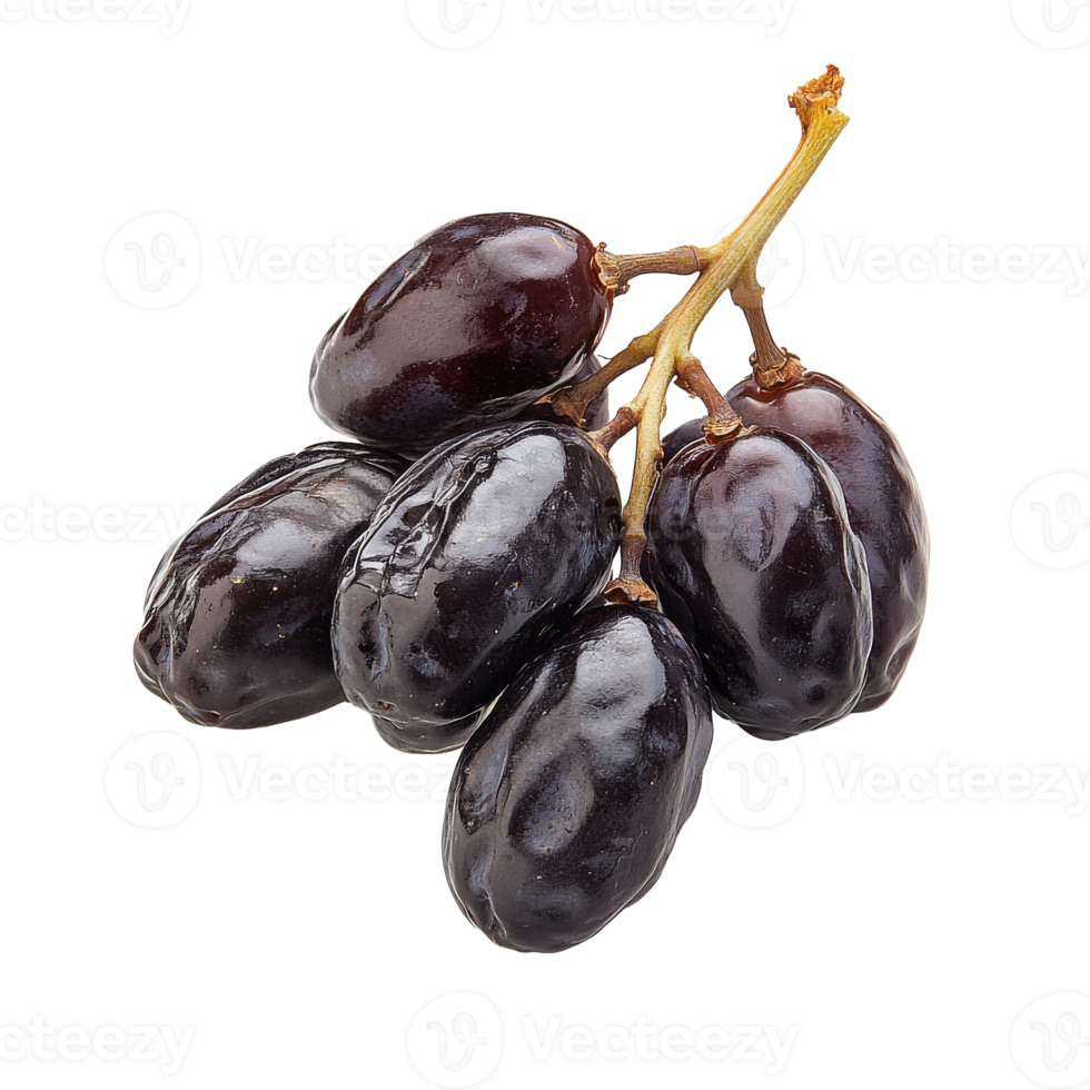 Fresh black grapes on vine ready for harvest png