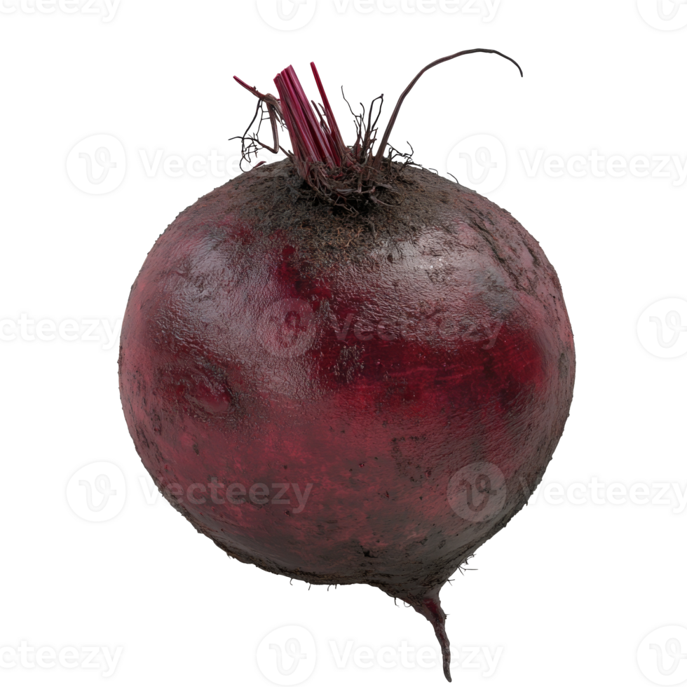 Freshly harvested beetroot with greens png