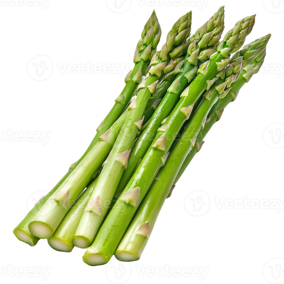 Green asparagus on a white background png