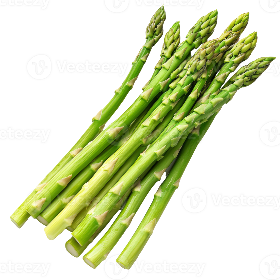 Fresh asparagus stalks on a white background png