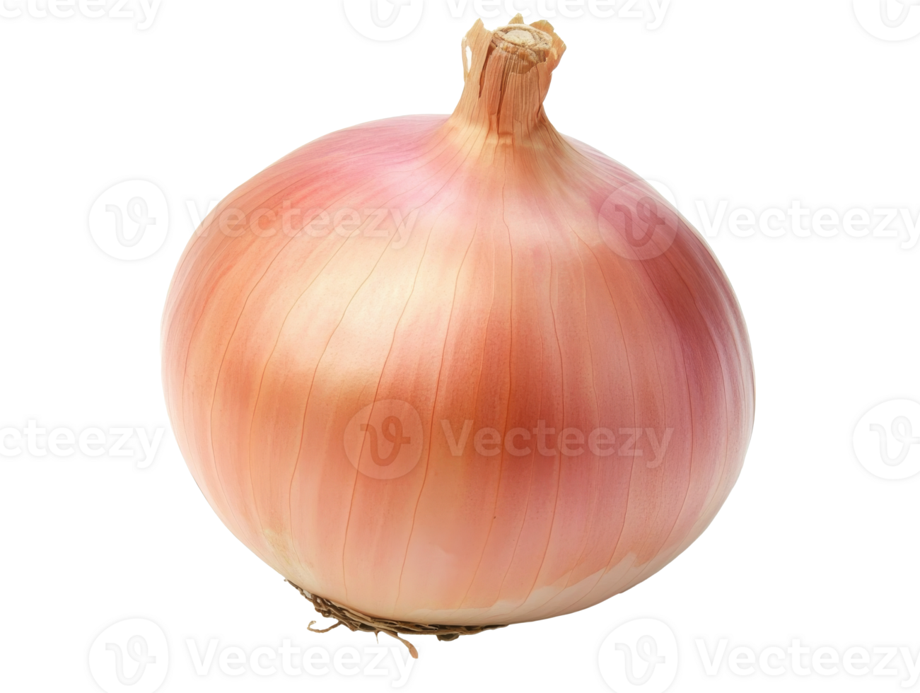 Freshly harvested pink onion with smooth skin png