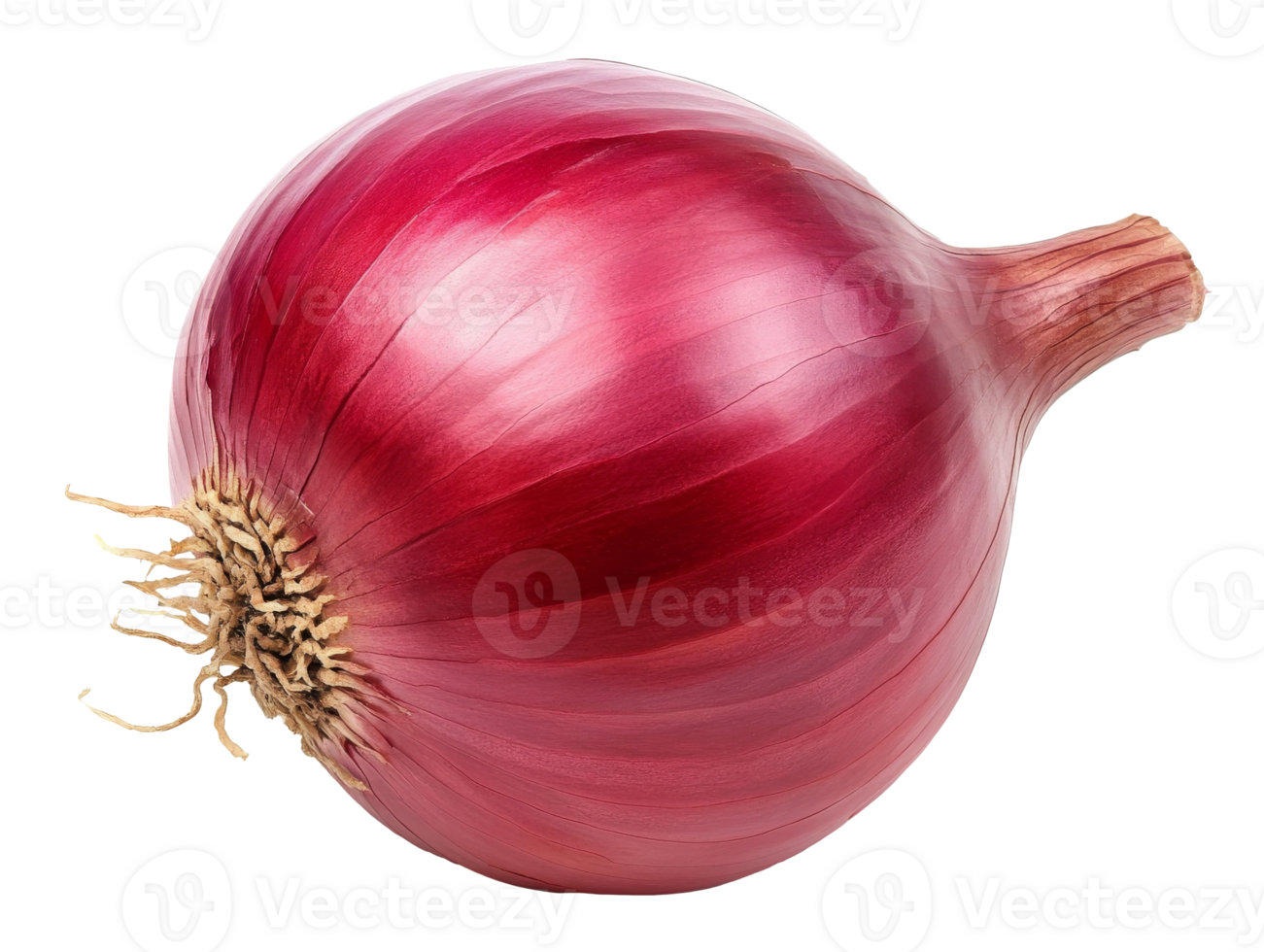 Freshly harvested red onion with smooth skin png