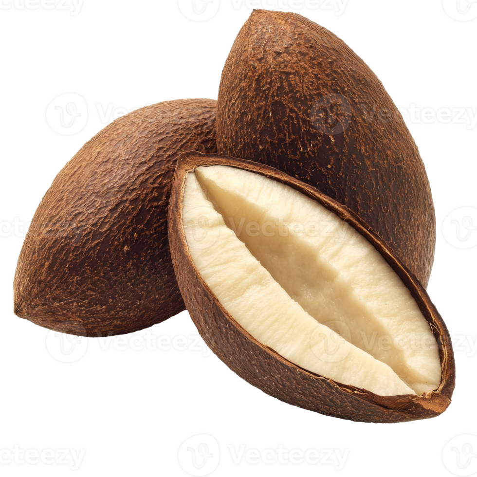 Tropical brown seed pods, creamy inside png