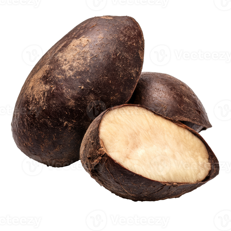 Fresh yacon root cut in half on a white background png