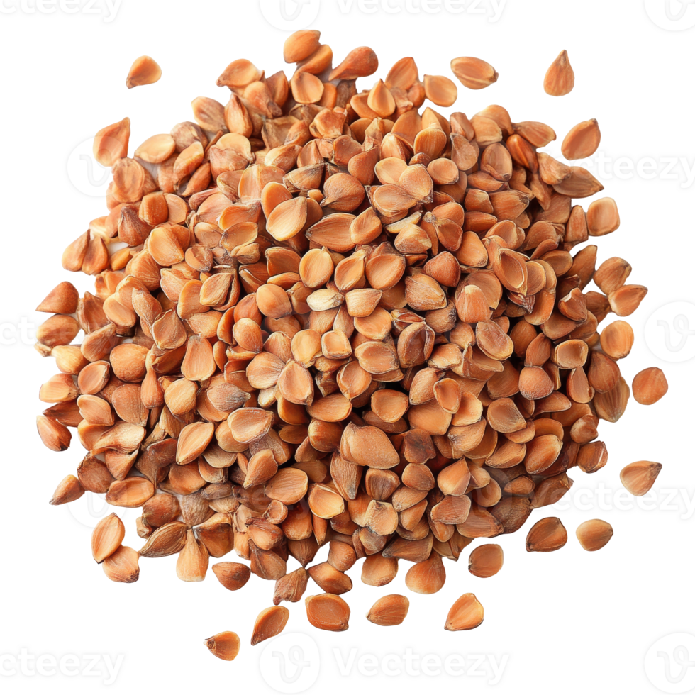 Pile of brown seeds on a neutral background png