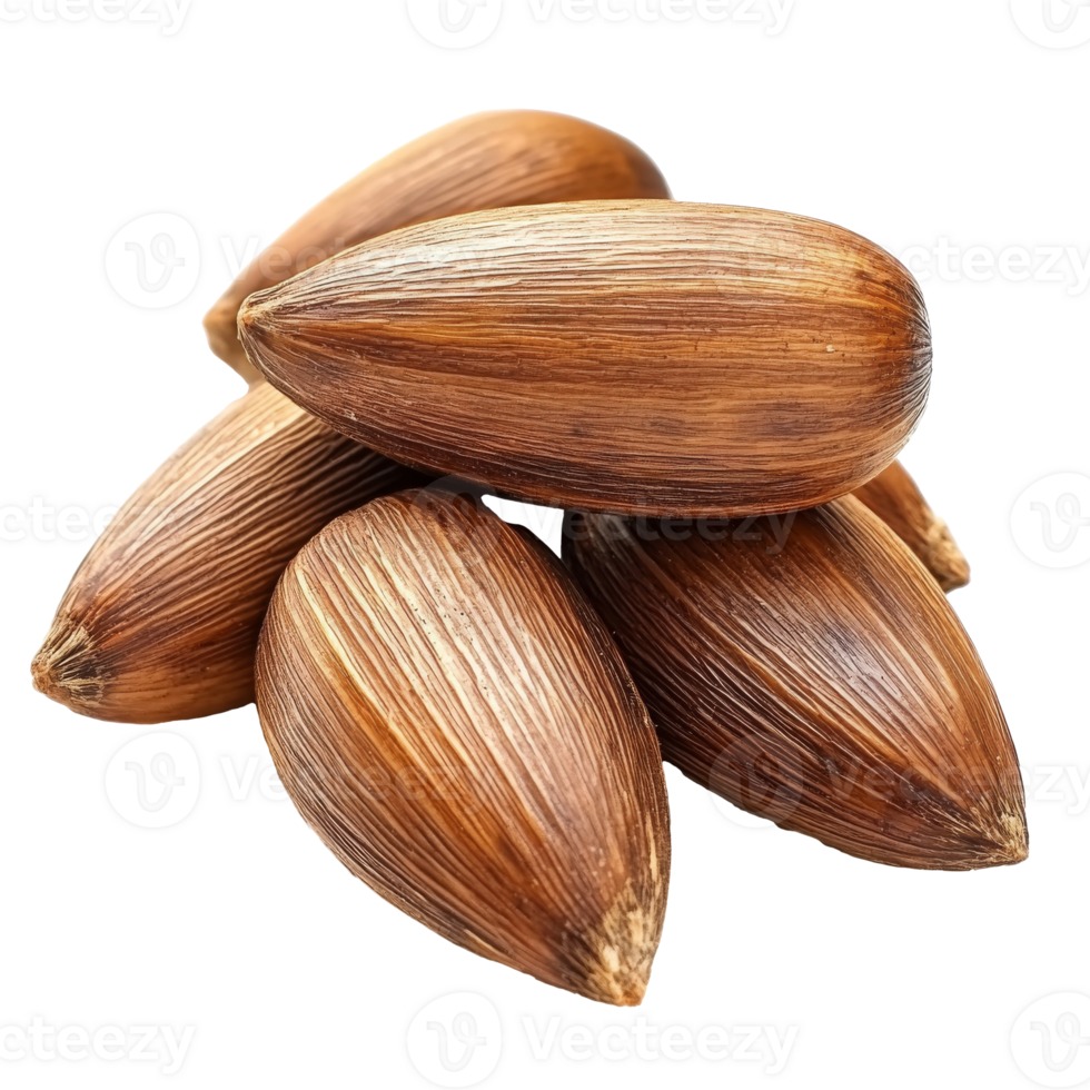 Delicious pine nuts freshly harvested from trees png