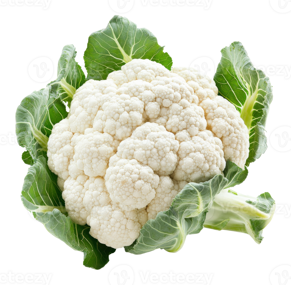 Fresh cauliflower with green leaves png