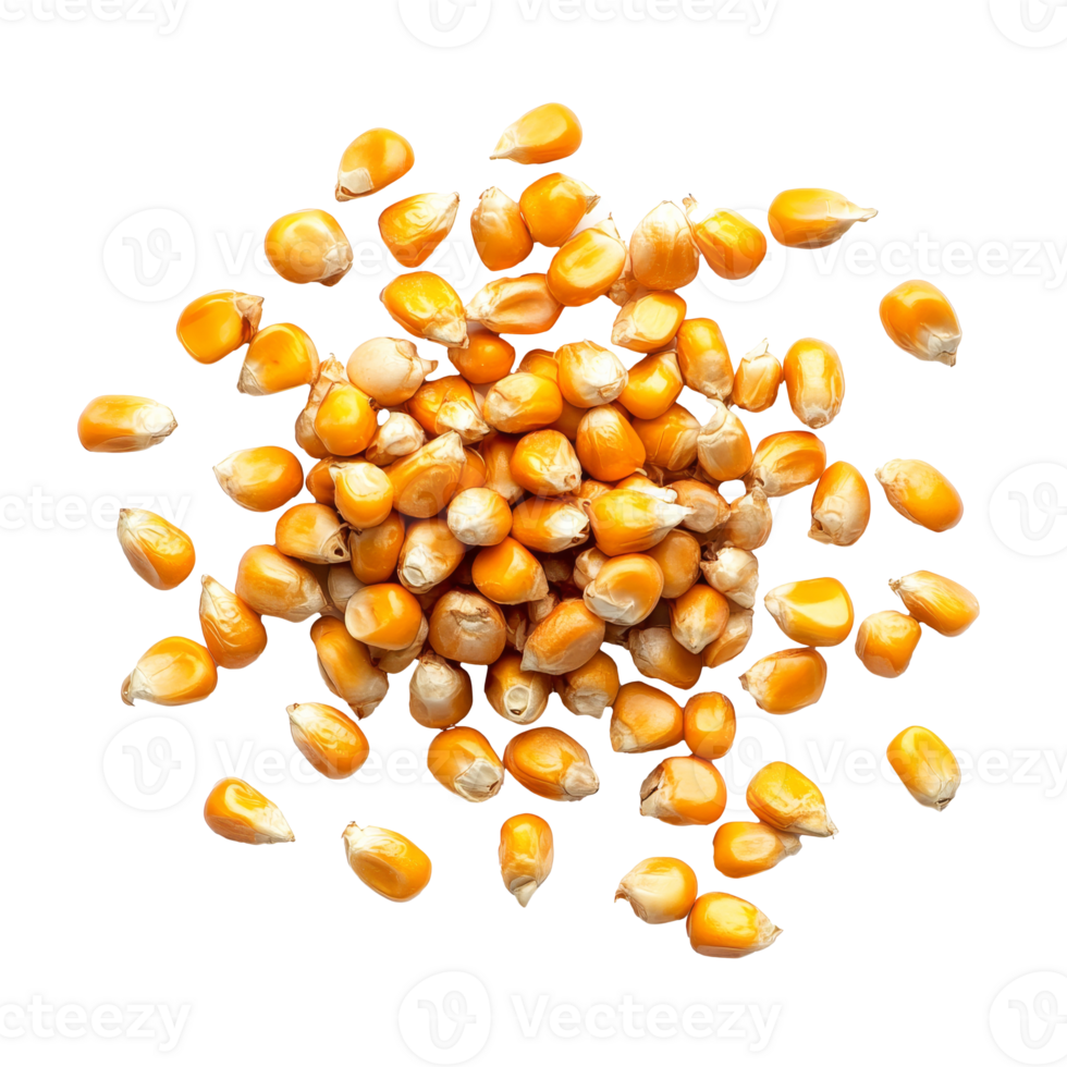 Yellow corn kernels scattered on a white surface png