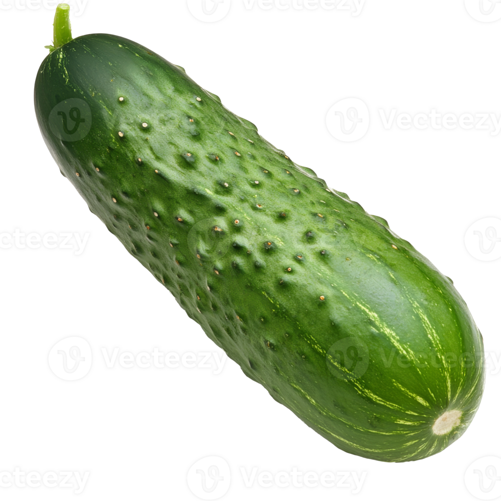 Fresh cucumber resting on a white background png