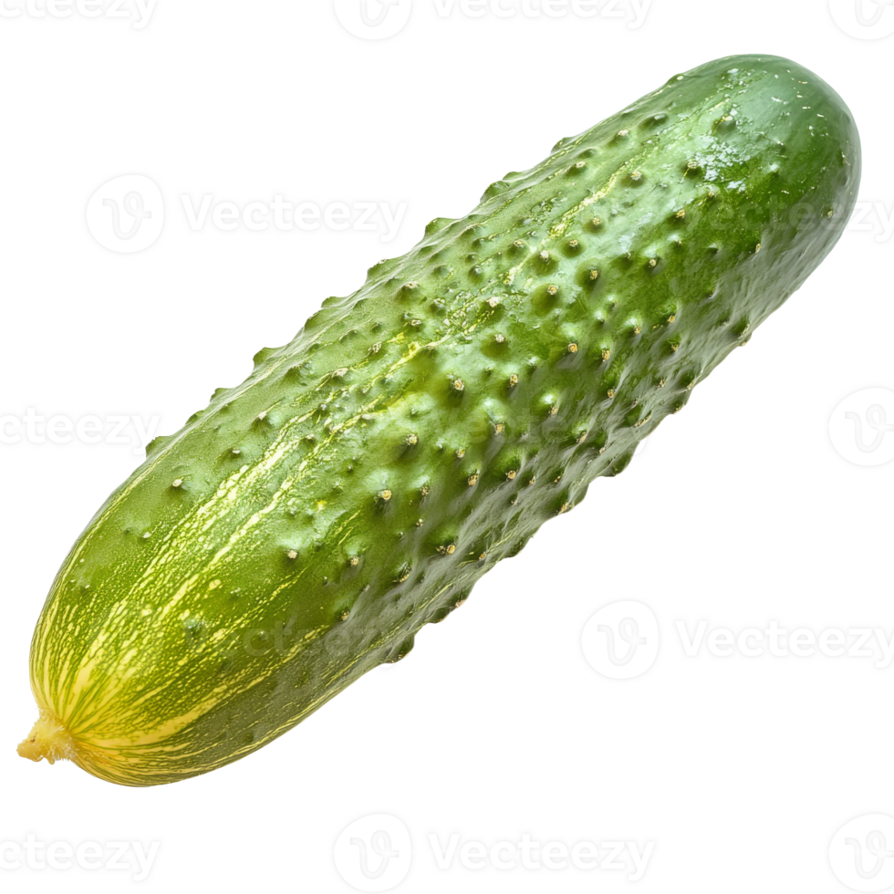 Fresh cucumber on a white background ready for use png