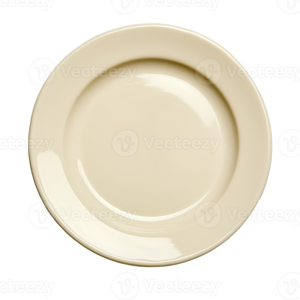 Round plate for home or restaurant use png