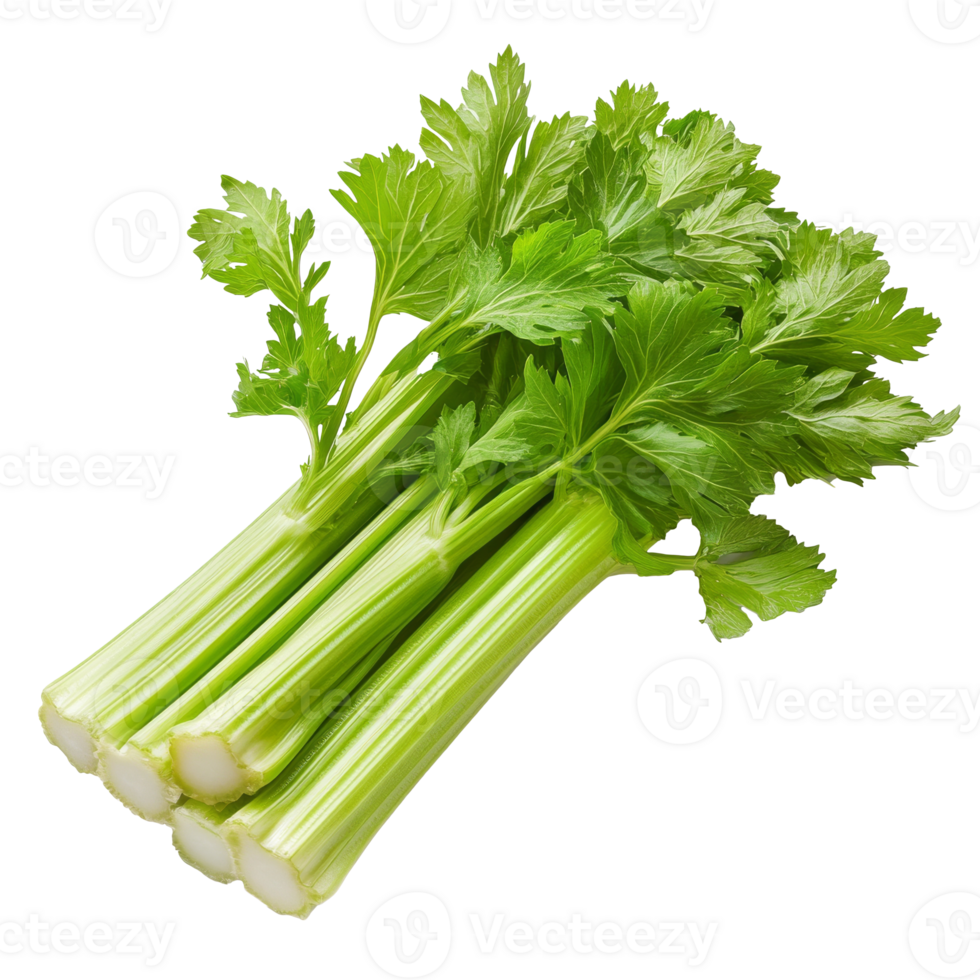 Fresh green celery stalks collected png