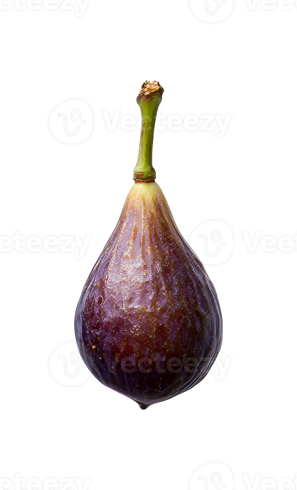 Fresh fig on a white background showcasing details png