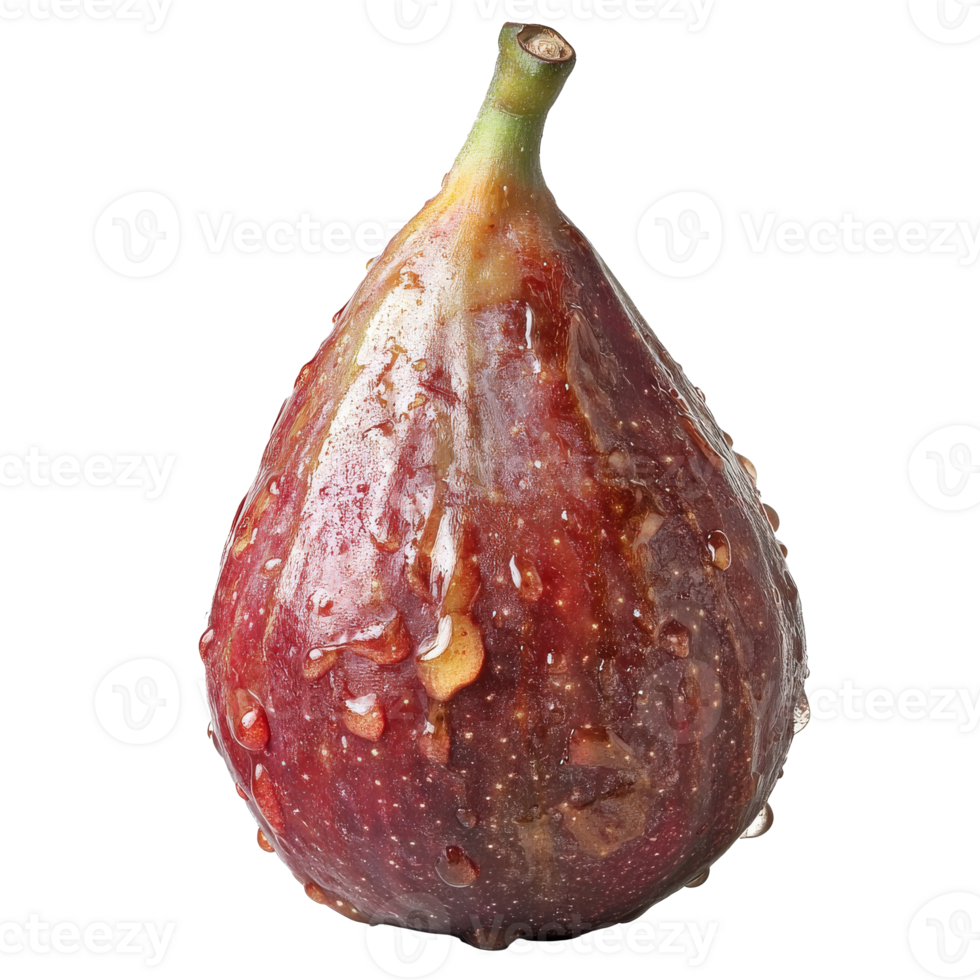 Ripe fig with droplets of water on its skin png