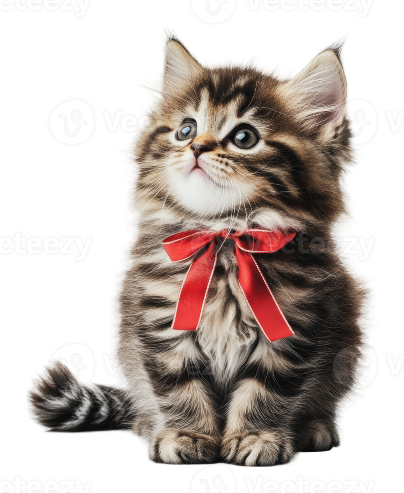 Cute kitten with a red bow sitting adorably png