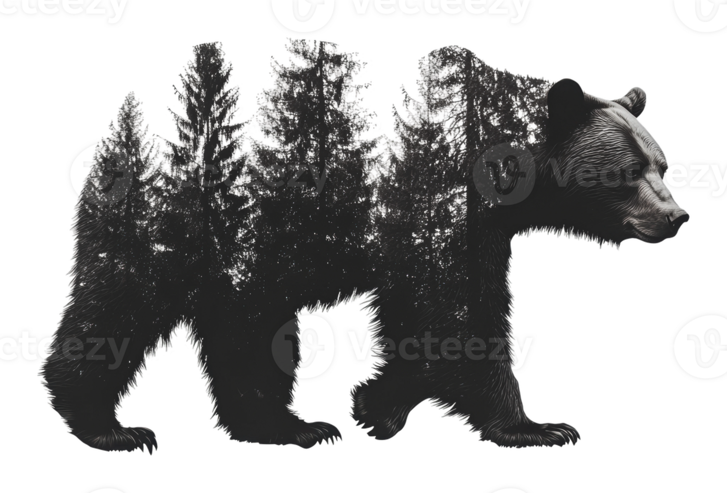 Bear with forest elements art png