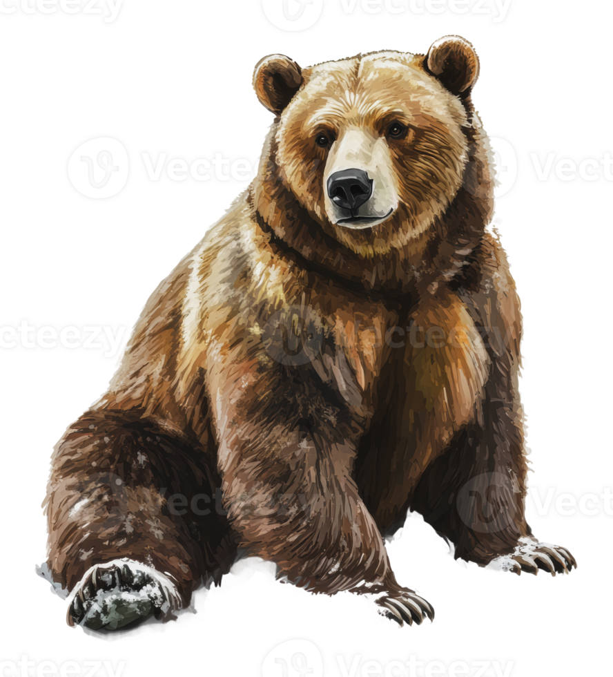A detailed illustration of a resting brown bear png
