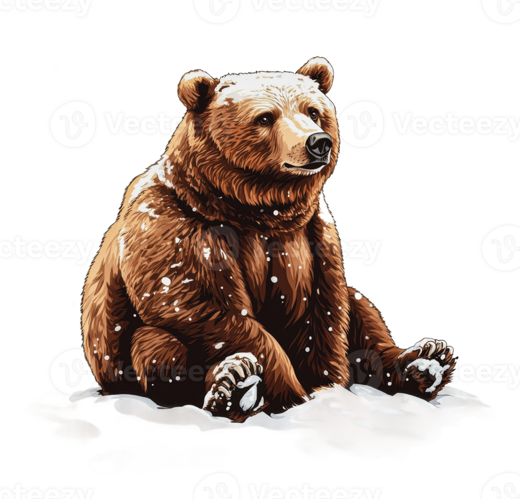 Brown bear sitting in the snow on a winter day png