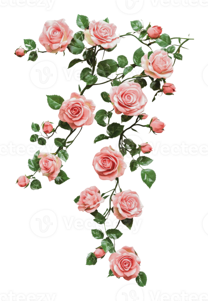 Beautiful pink roses forming a number seven design png