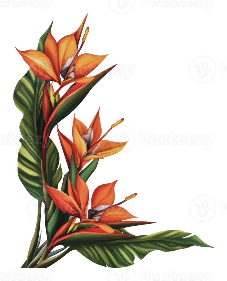 Vibrant tropical flowers with lush green leaves png