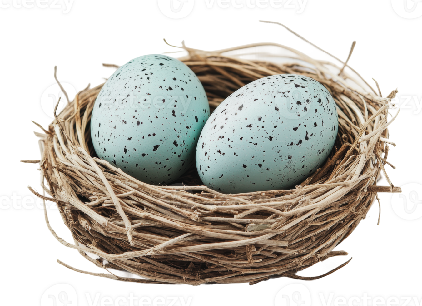 Blue speckled eggs resting in a natural nest png