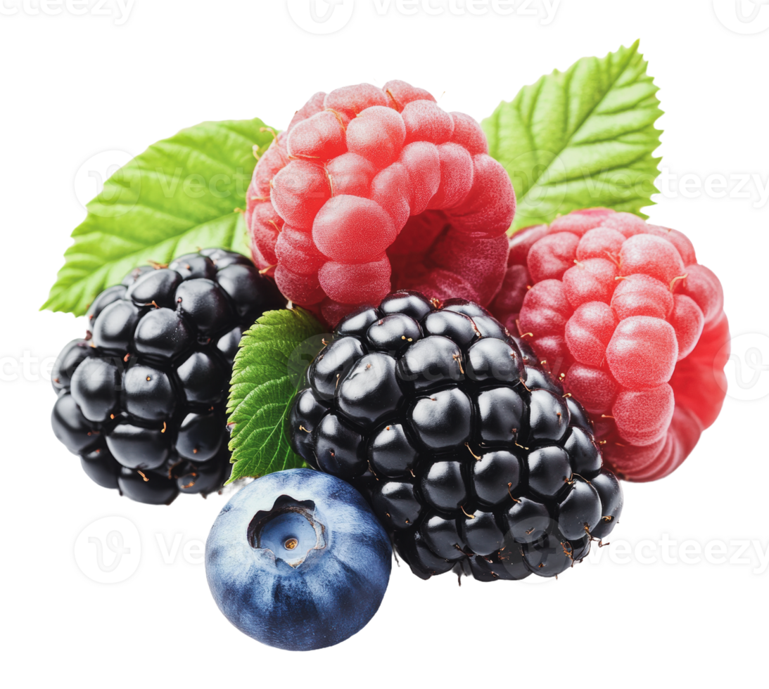 Colorful assortment of fresh berries with leaves png