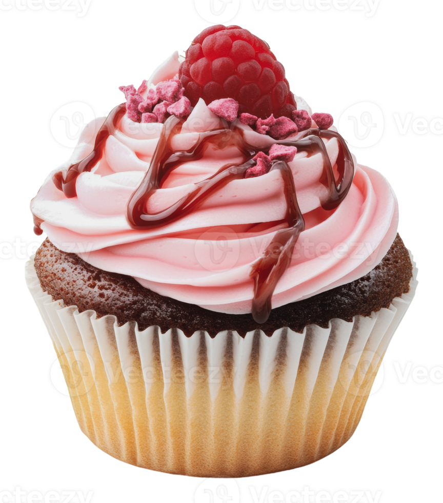 Raspberry chocolate cupcake with pink frosting png