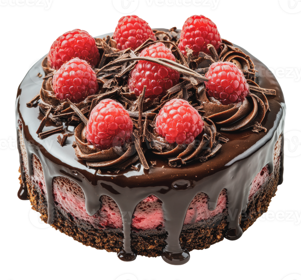 Chocolate raspberry cake with toppings png