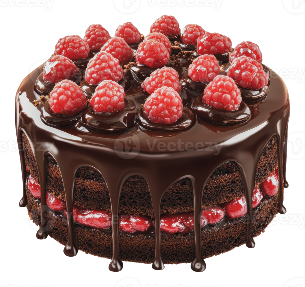 Chocolate raspberry cake with fresh berries on top png