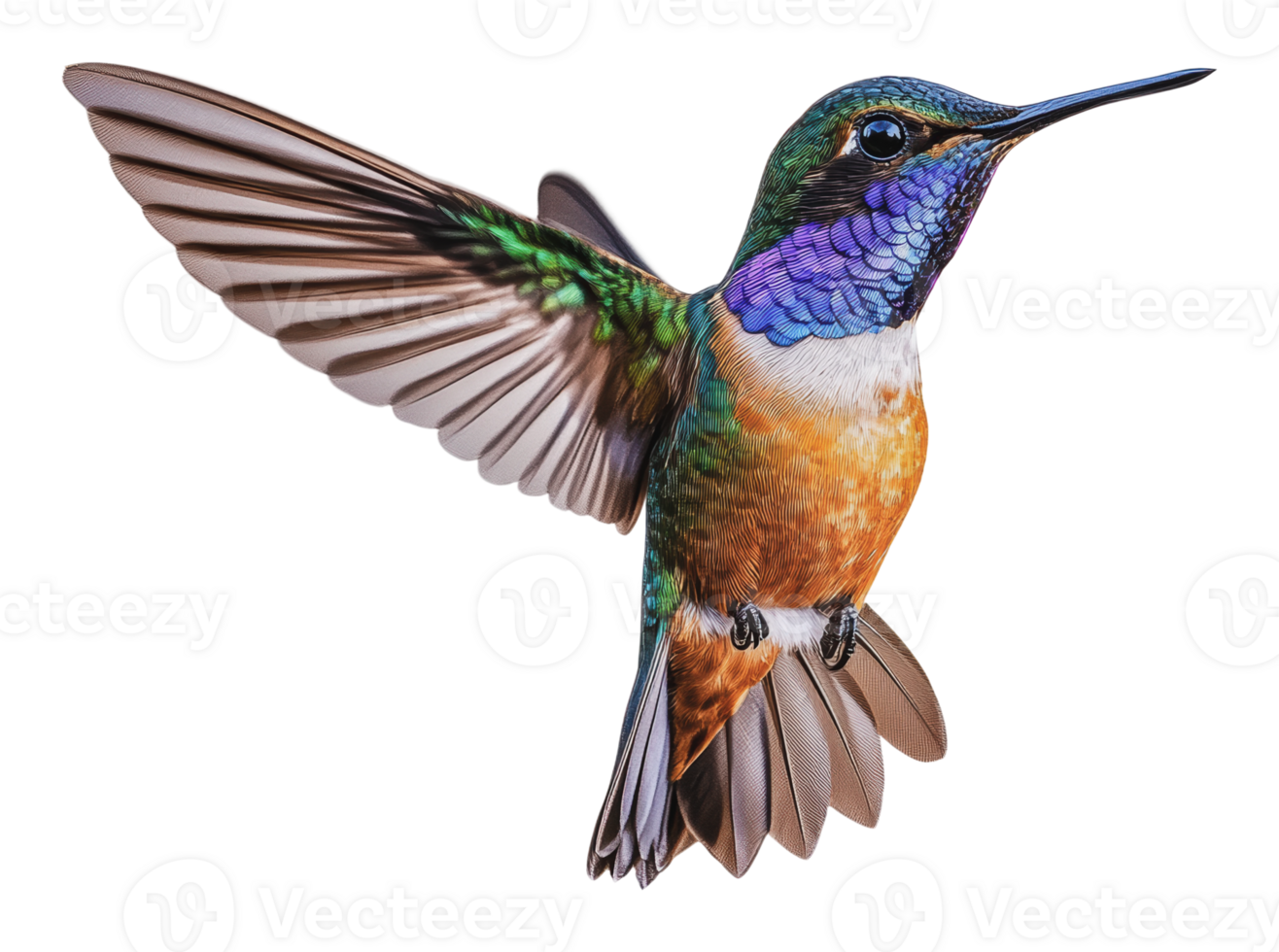 A vibrant hummingbird in mid-flight in nature png