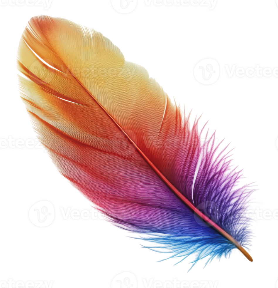 Colorful feather with vibrant gradients lying flat png