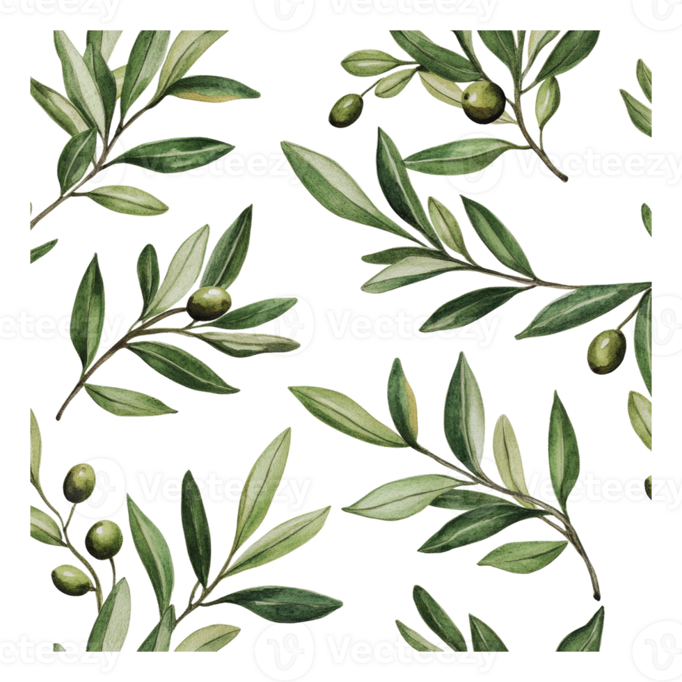 Green olive branch design on white png