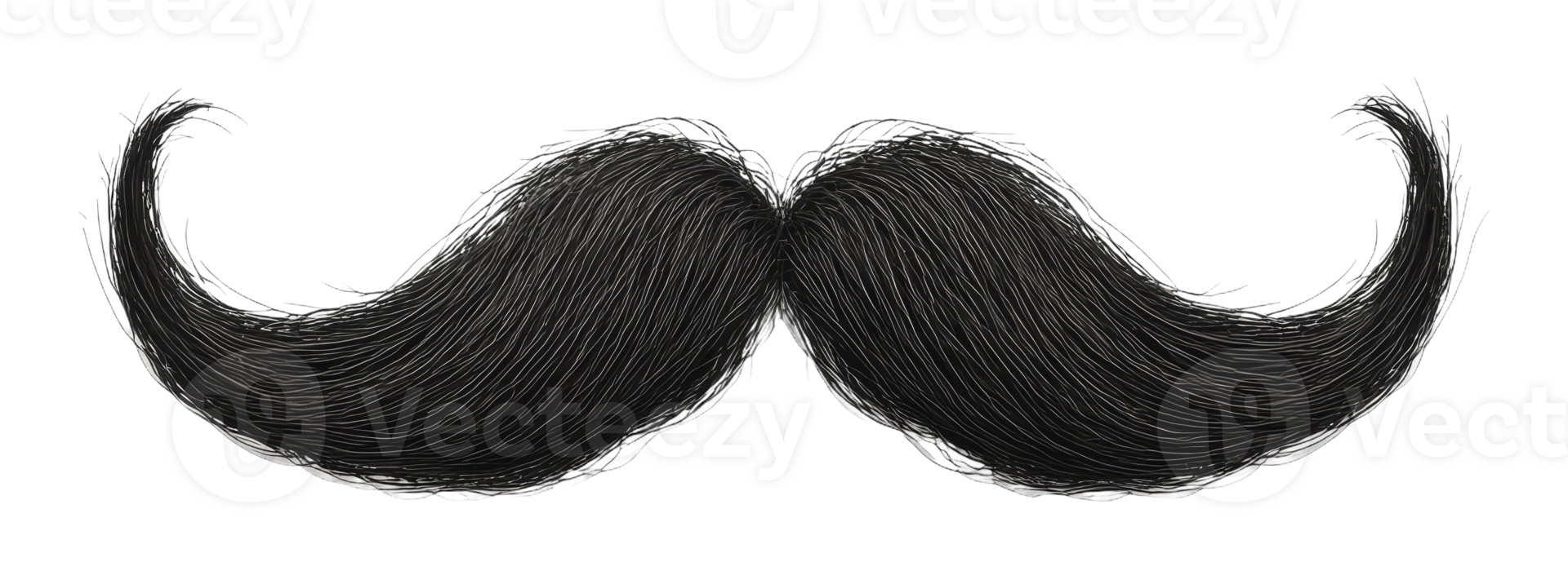 A stylish and elaborate black mustache design png