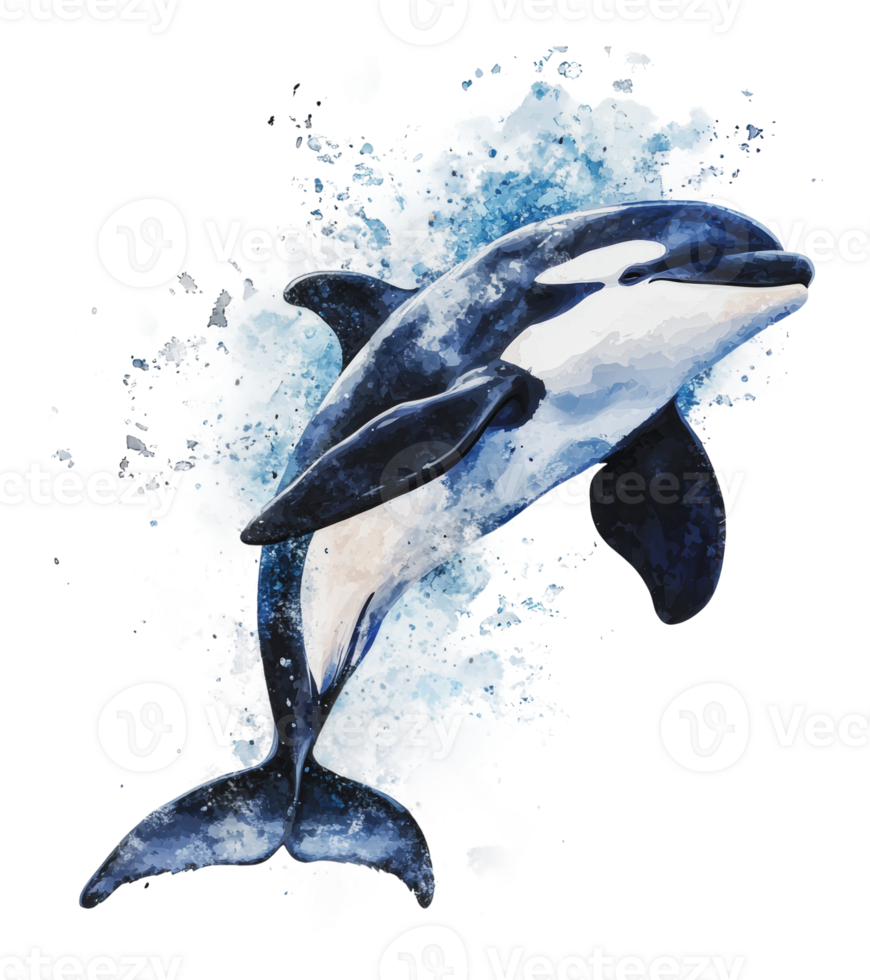 Dolphin jumping out of water in a vibrant splash png