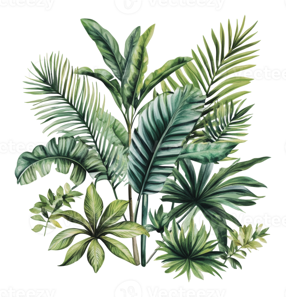 Vibrant green tropical plant display png