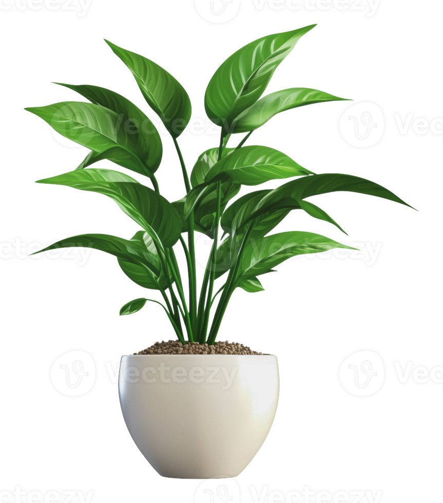 Green plant in white pot boosts decor png