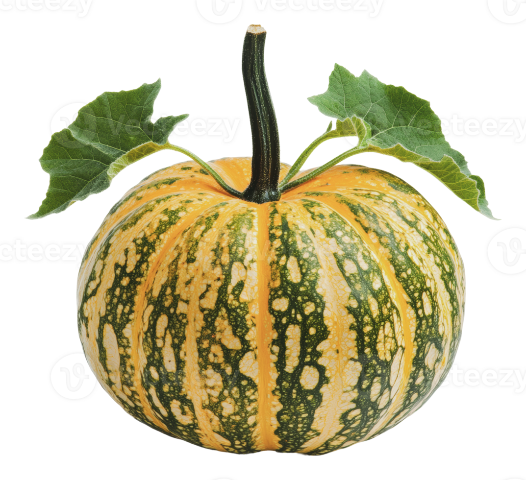 Bright striped pumpkin with green leaves on top png