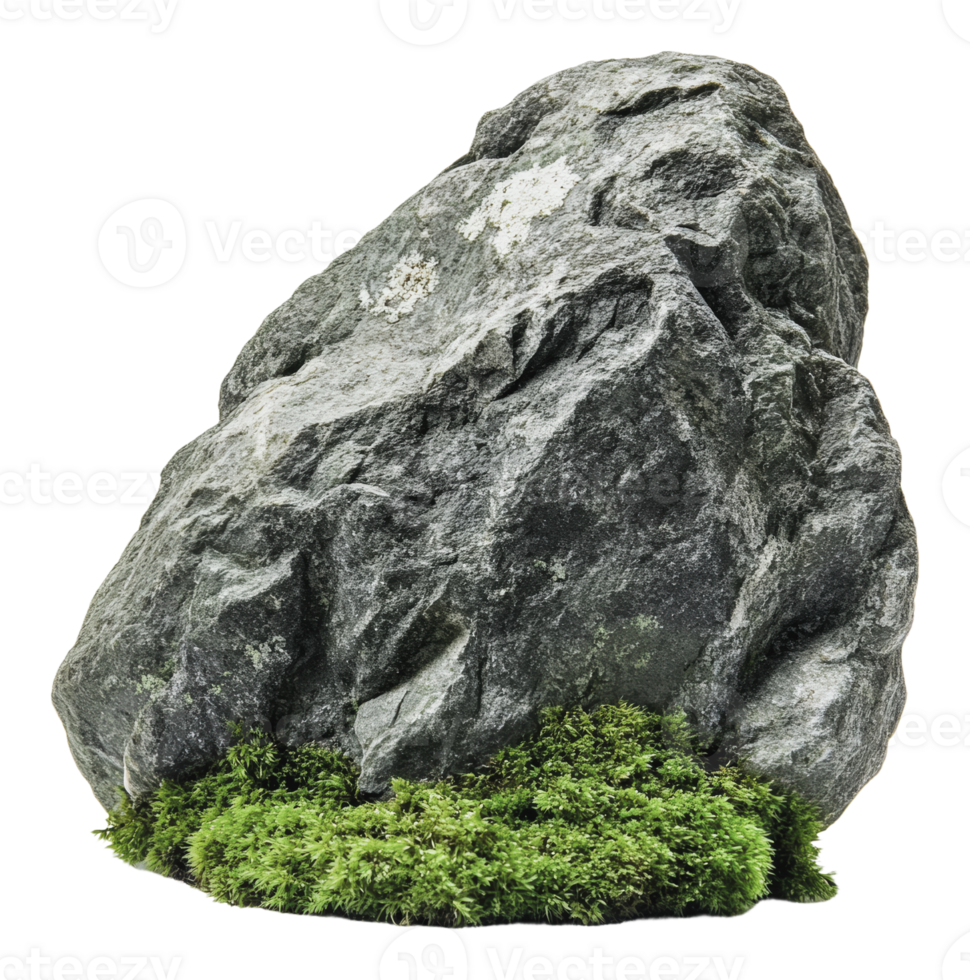 Mossy rock in nature png