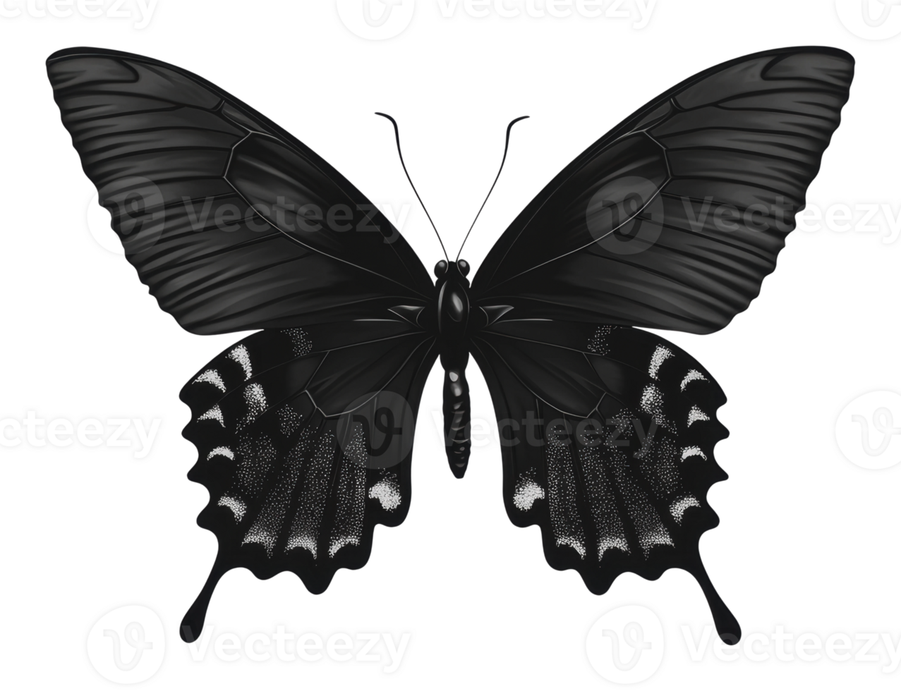 Black butterfly with detailed wings in flight png