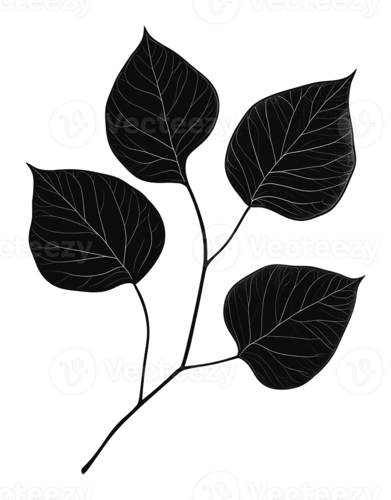 Intricate black leaves on a branch png