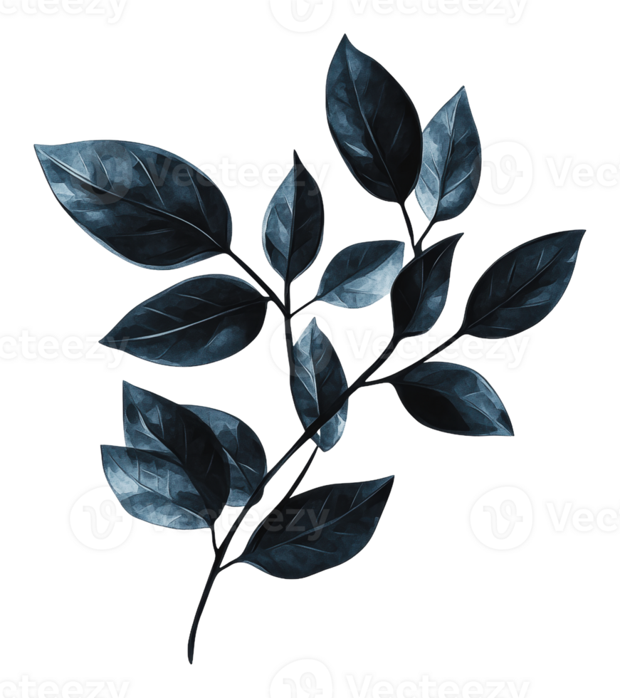 Artfully arranged dark green leaves png