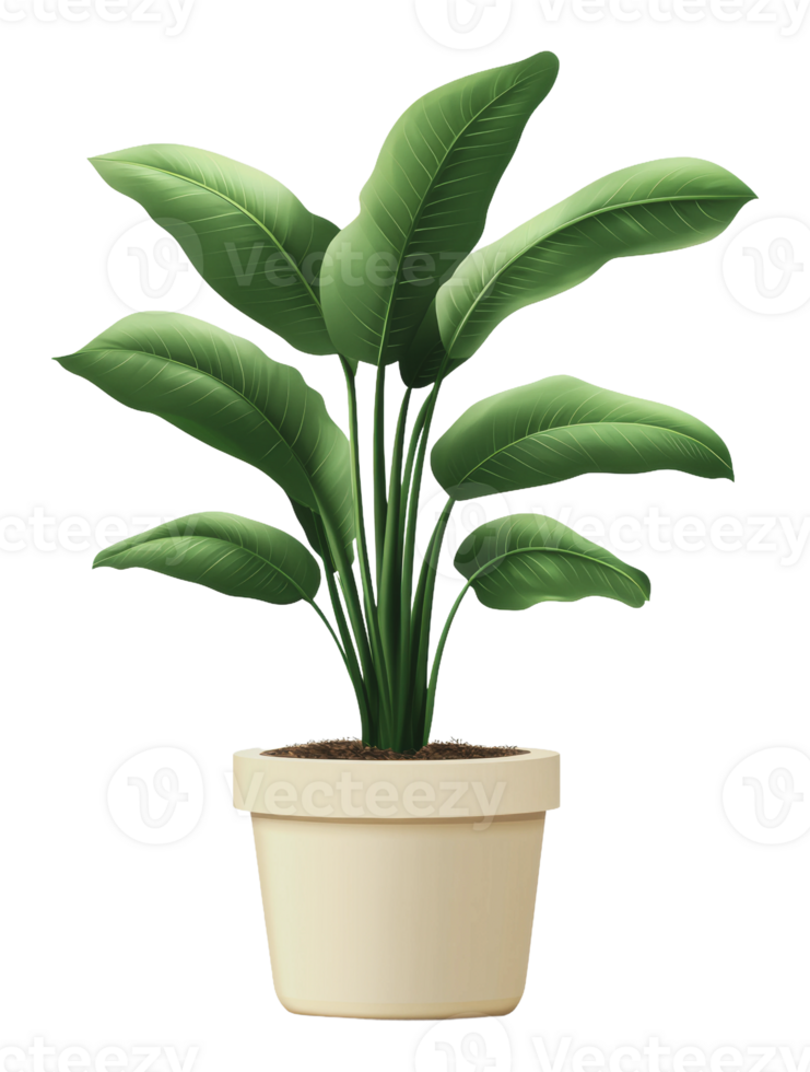 Simple green plant in a beige pot on display png