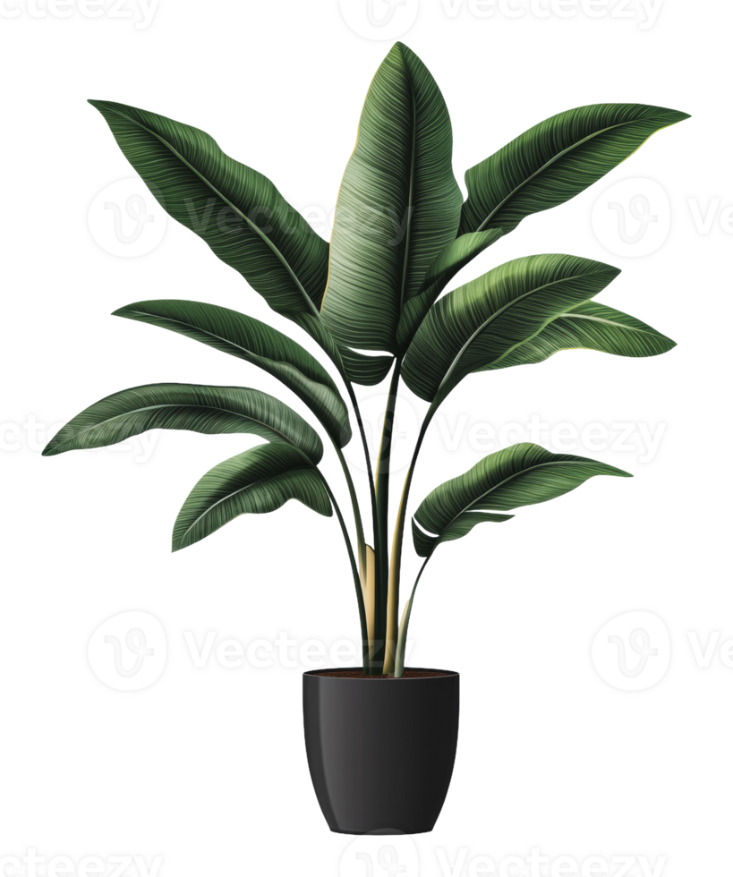 ampla de folhas verdes plantar dentro Preto Panela png