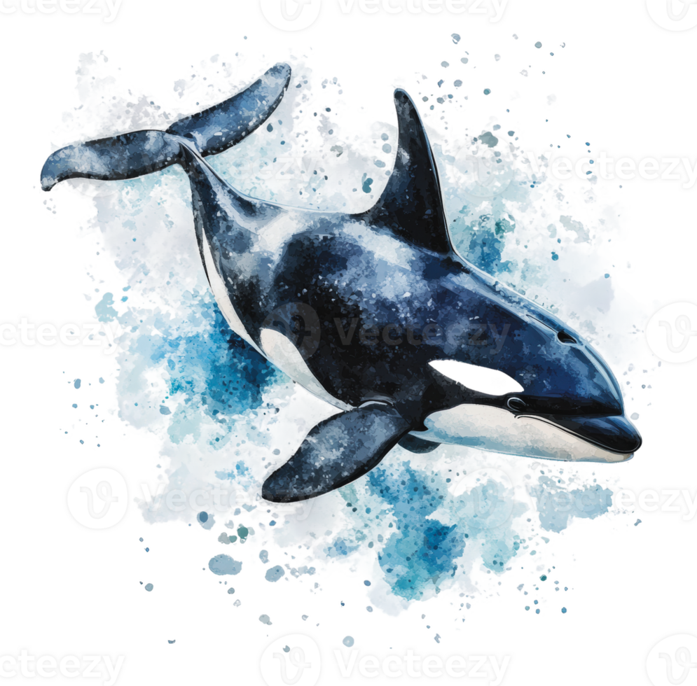 Orca swimming gracefully through blue water png