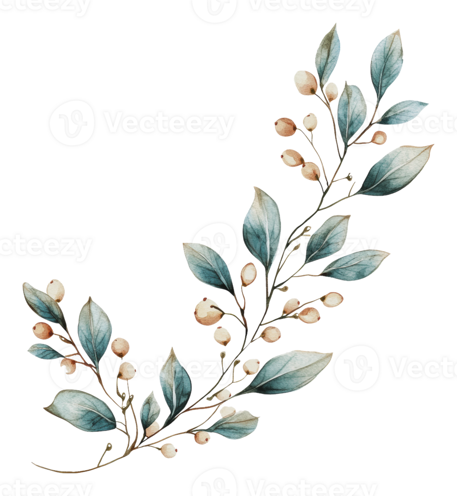 Soft-colored leaves and berries png