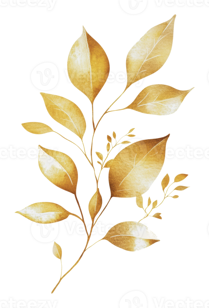 Elegant golden leaves on a light background design png