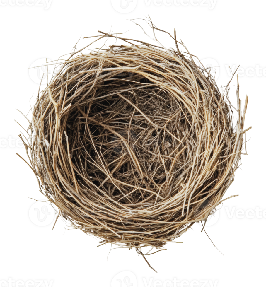 Nest made of twigs and grasses found in nature png