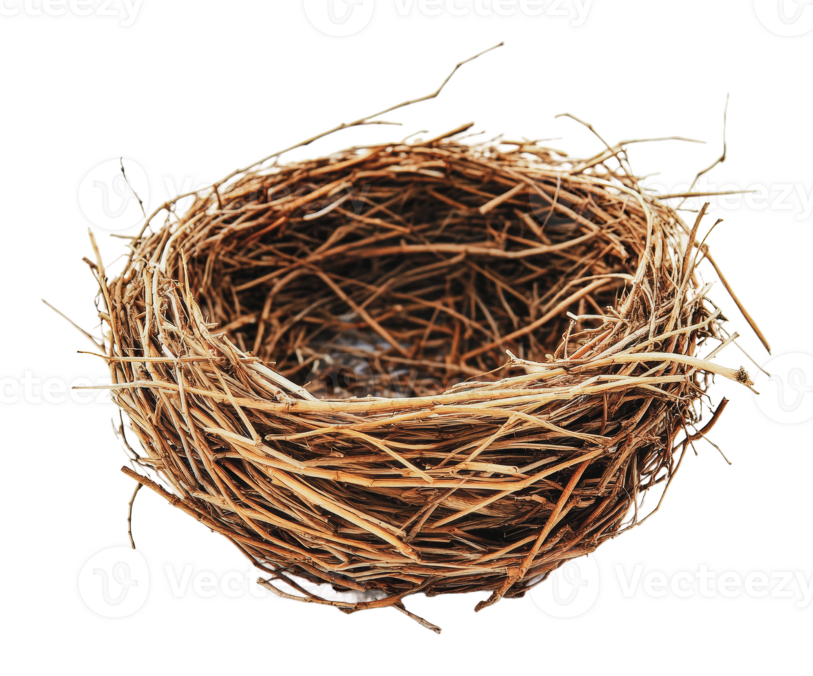 Empty bird nest made of twigs and straw materials png